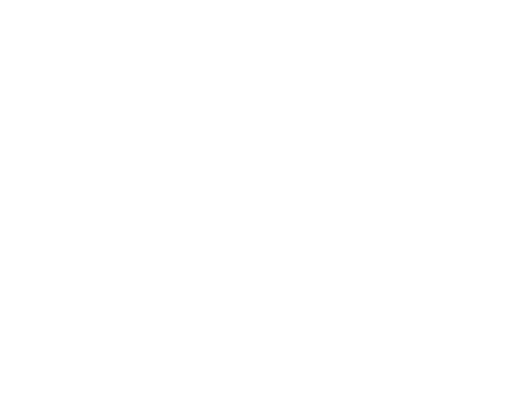 Par10 Bros Golf